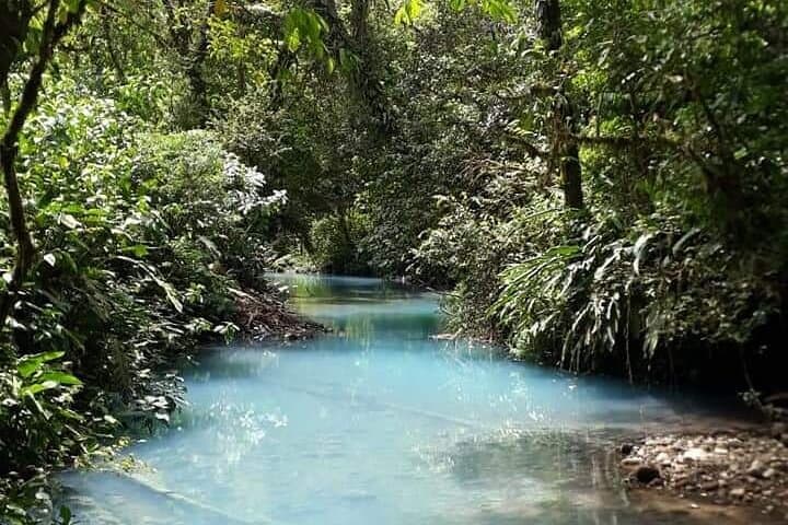 Private Rio Celeste Hike: Tenorio Volcano Blue River Tour from La Fortuna photo 4