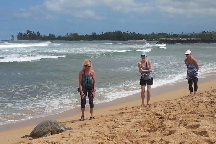 Drive Oahu: Luxury Convertible South & North Shore Tour (8 Hours) photo 5