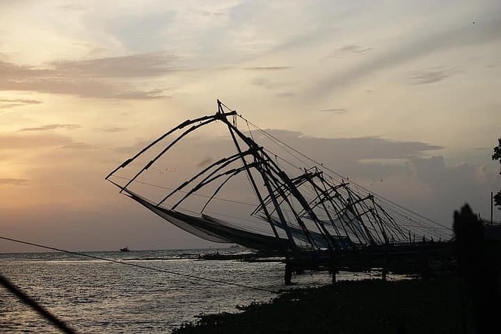 Lush Malabar Coast: 6-Day Kerala Private Tour — Cochin, Munnar & Backwaters photo 2