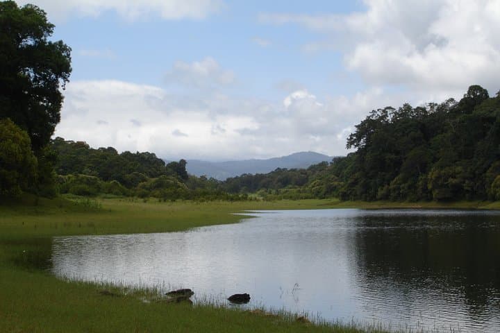 Lush Malabar Coast: 6-Day Kerala Private Tour — Cochin, Munnar & Backwaters photo 4