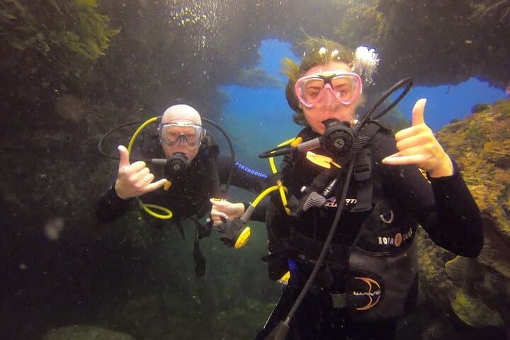 Rottnest Island Boat Dive Day Trip — Limestone Caverns & Soft Coral Walls photo 3