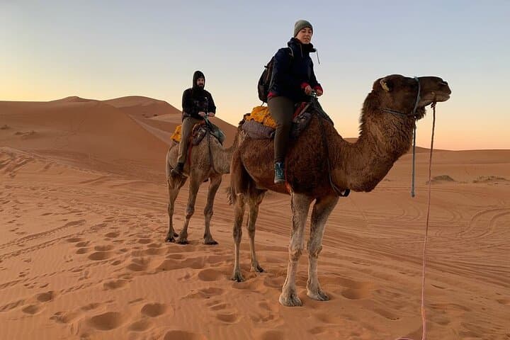 Two-Day Luxury Desert Trip from Fes to Merzouga: Camel Treks, Dunes & Cedar Forests photo 5