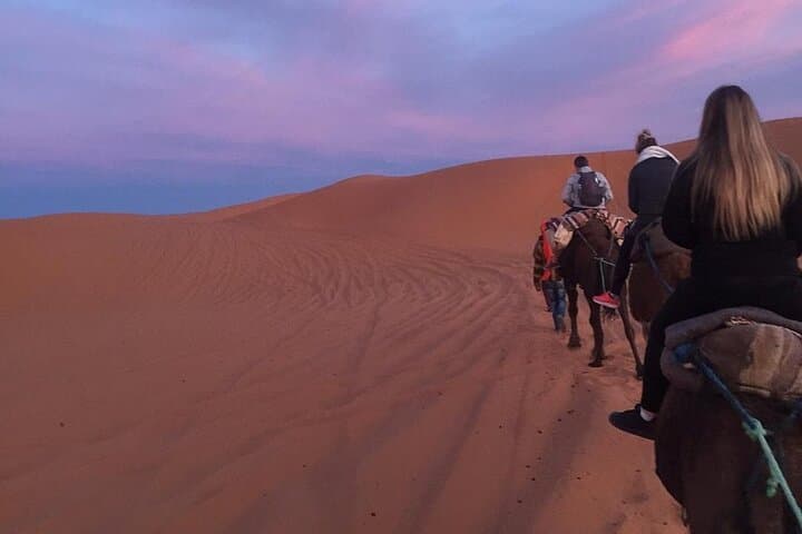 Two-Day Luxury Desert Trip from Fes to Merzouga: Camel Treks, Dunes & Cedar Forests photo 6