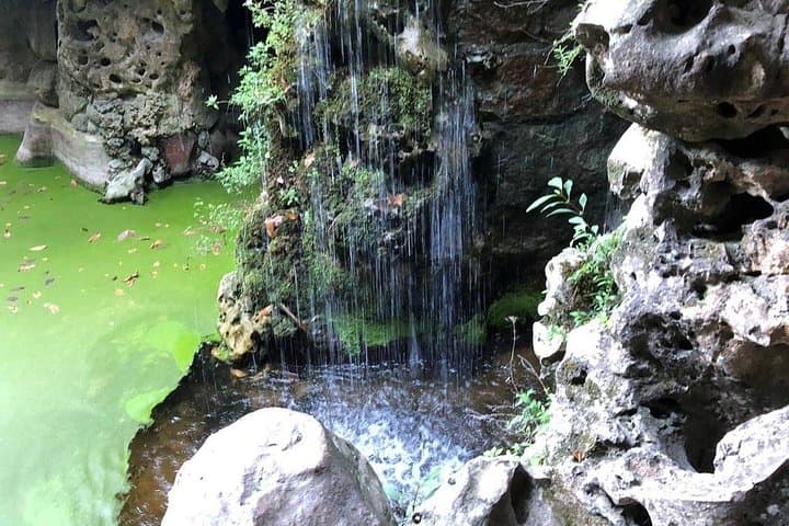 Private Sintra Tours and Transfers — Personalized Full-Day Visits to Palaces, Parks & Photo Views photo 4
