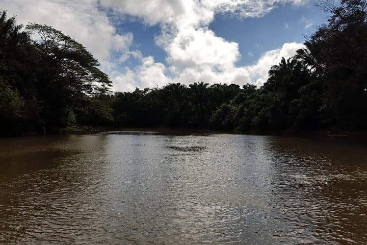Private Caño Negro Pantoon Wildlife Tour from La Fortuna
