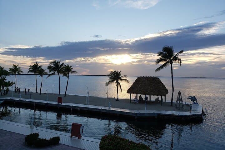 Half-Day Snorkel Trip to Key Largo Reefs — Pennekamp & Florida Keys Marine Sanctuary photo 5