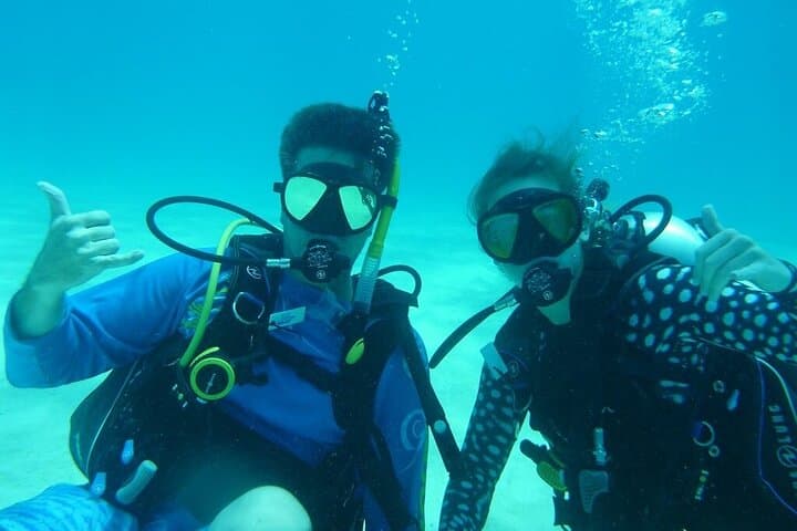 Half-Day Scuba Diving in the Florida Keys: Pennekamp & Sanctuary Reefs