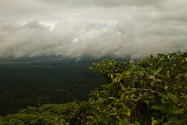 Eco Volta Expedition: Hike Afadjato & Wli Falls — Volta Region Day Tour photo 2