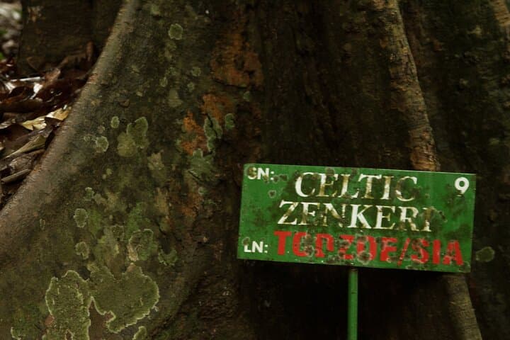 Eco Volta Expedition: Hike Afadjato & Wli Falls — Volta Region Day Tour photo 5