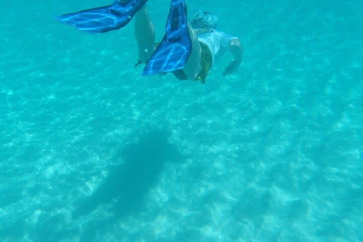 Bat Island Snorkeling and Beach Barbecue — Goa Day Trip photo 4