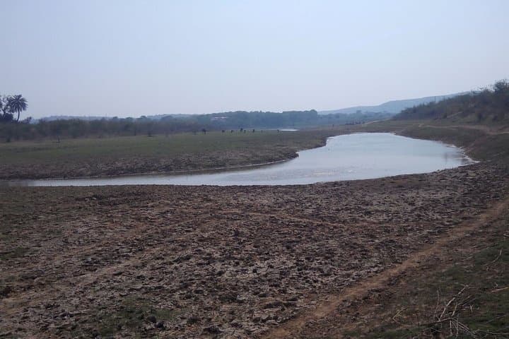 National Chambal River Safari from Agra — Same-Day Gharial & Dolphin Wildlife Tour photo 6