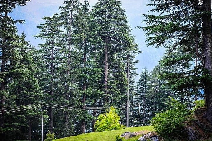 Overnight Trek and Camp Near Rishikesh — Gentle 2-Day Himalayan Trek photo 6