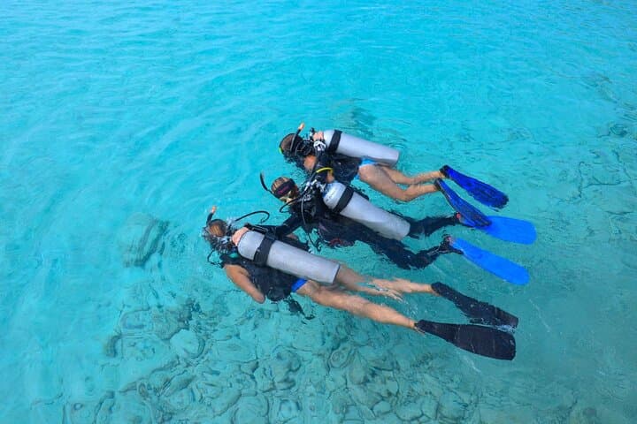 Discover Scuba at Coral Divers Curaçao: Intro Dive on a Living House Reef