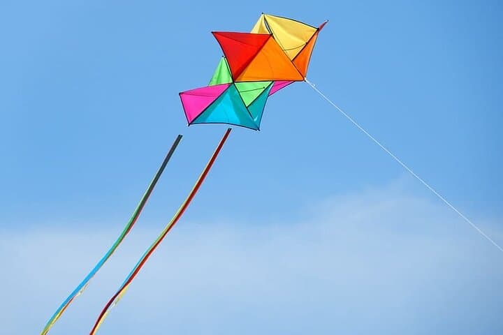 Jaipur Rooftop Kite-Flying and Home-Hosted Dinner Experience photo 4