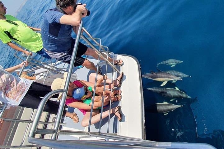 Dolphin Watching Catamaran Cruise from Lagos, Algarve photo 3