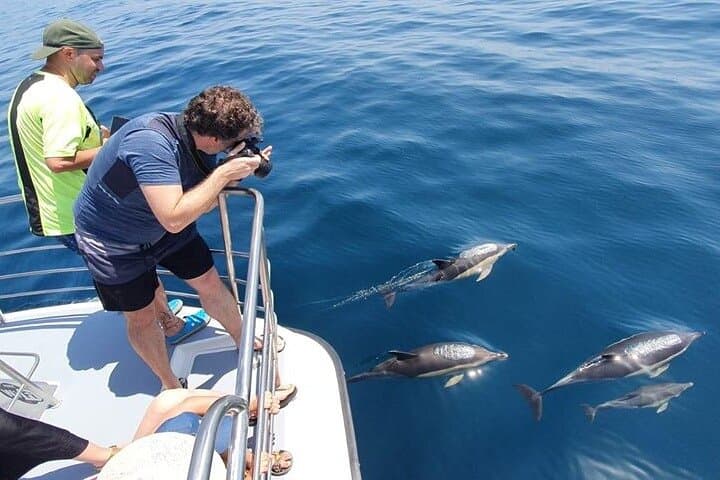 Dolphin Watching Catamaran Cruise from Lagos, Algarve photo 4