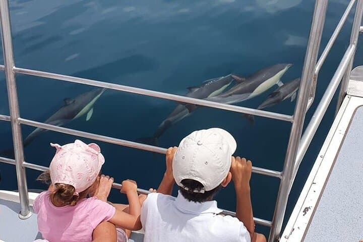 Dolphin Watching Catamaran Cruise from Lagos, Algarve photo 6