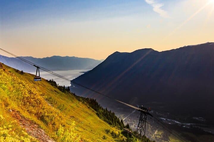 Turnagain Arm & Alaska Wildlife Center Day Trip with Alyeska Tram photo 3