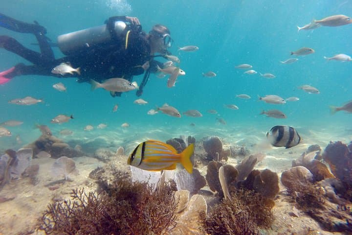 Búzios João Fernandes Diving Baptism — Beginner Scuba Experience photo 3