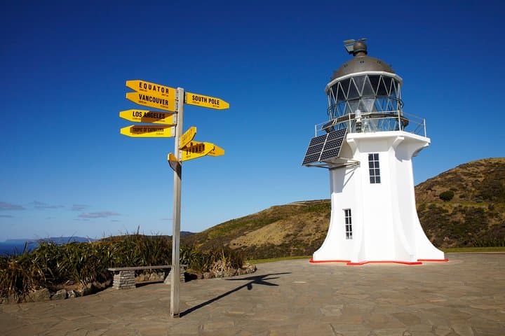 Cape Reinga Half-Day Tour with Scenic Flight from Paihia photo 5