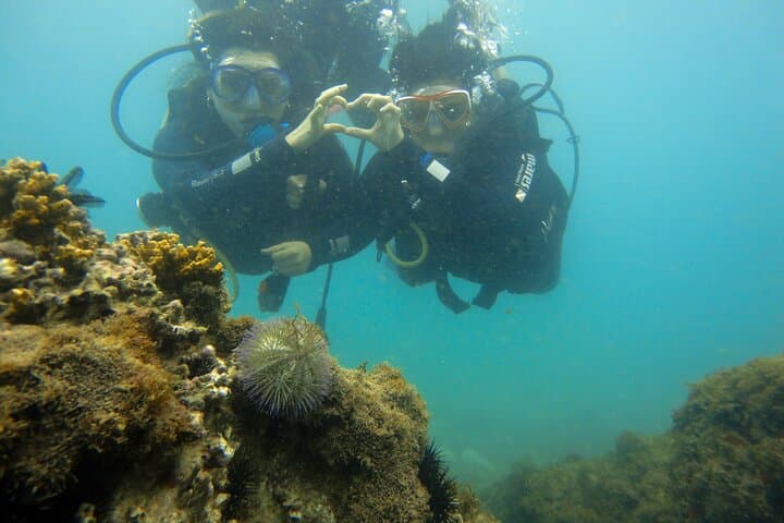 Búzios João Fernandes Diving Baptism — Beginner Scuba Experience photo 2