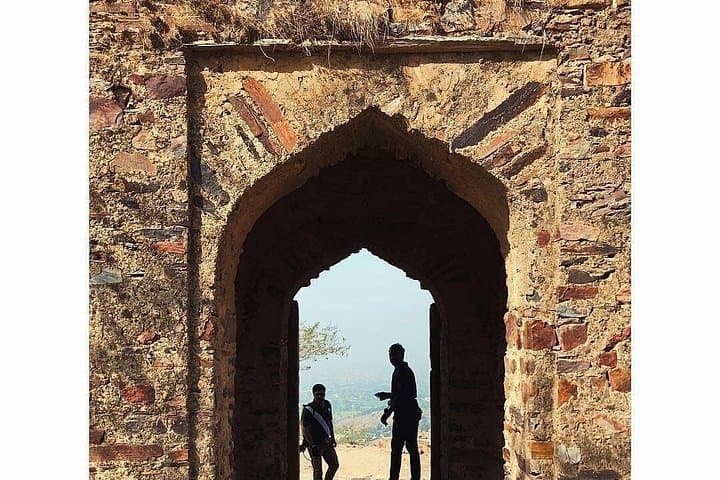 Kite Feeding at Mehrangarh Fort: Jodhpur's Bird-of-Prey Experience photo 3