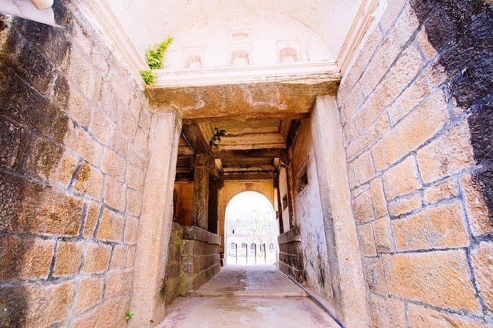 Kite Feeding at Mehrangarh Fort: Jodhpur's Bird-of-Prey Experience photo 4