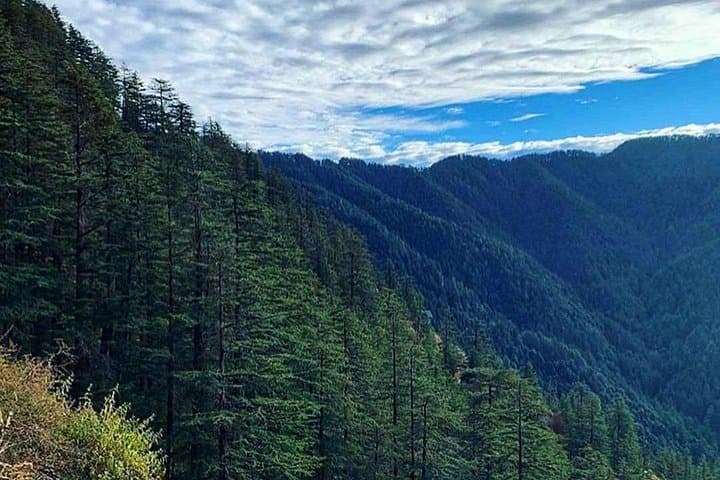 Rakkh Village Walk: Day Trip from Dharamshala into the Dhauladhar Deodar Forests photo 3