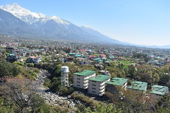 Rakkh Village Walk: Day Trip from Dharamshala into the Dhauladhar Deodar Forests photo 4