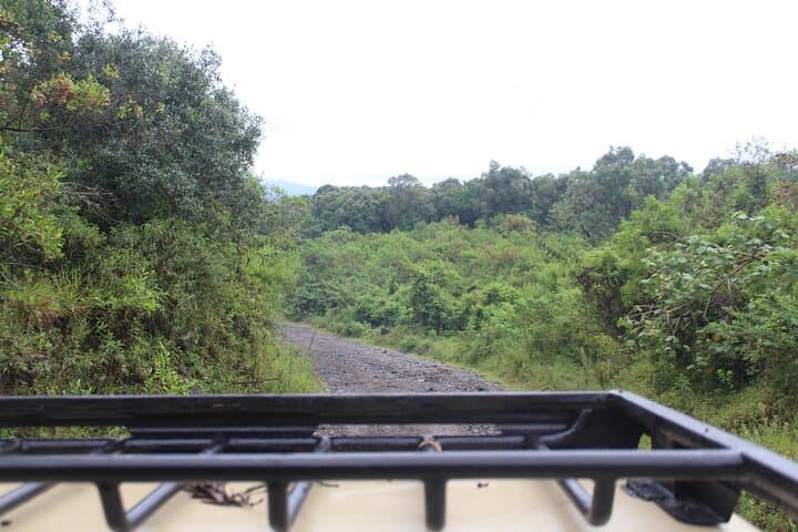 Day Safari in Arusha National Park — Momela Lakes, Ngurdoto Crater & Mount Meru Views photo 5