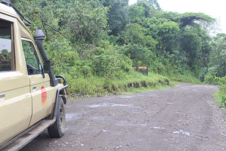 Day Safari in Arusha National Park — Momela Lakes, Ngurdoto Crater & Mount Meru Views photo 6