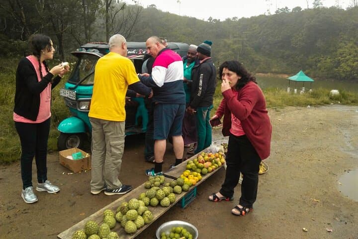 Tea, Mist and World's End: 2-Day Nuwara Eliya Escape from Negombo photo 5