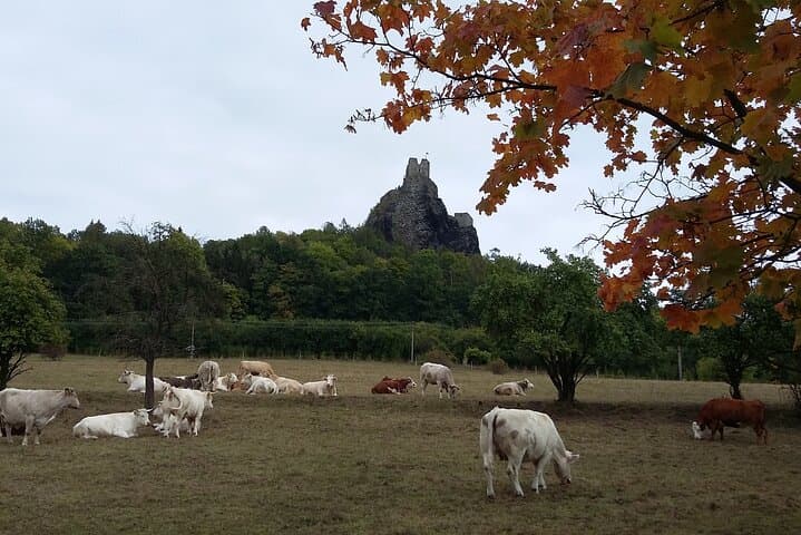 Hike Czech Paradise: Prachov Rocks & Medieval Castles from Prague photo 6