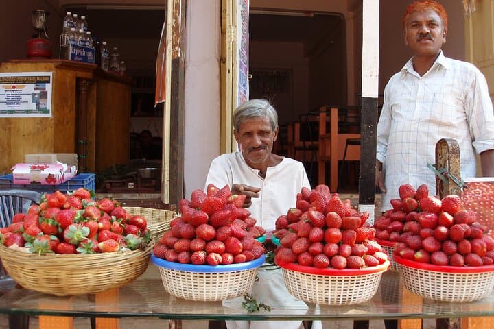Mahabaleshwar & Panchgani Day Trip from Pune — Table Land, Arthur's Seat & Mapro Garden photo 2