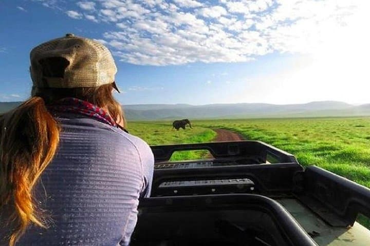 Ngorongoro Crater Day Tour: Wildlife, Geology, and Practical Safari Tips photo 1