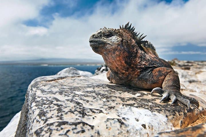 Island Hopping Galapagos: 4-Day Isabela & Santa Cruz Snorkel Adventure photo 1