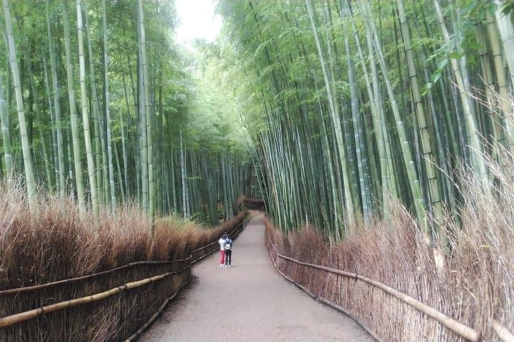 Early Morning Kyoto Walking Tour: Bamboo Forest, Fushimi Inari & Uji Matcha photo 6