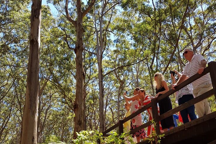 Margaret River Wine, Coffee & Boranup Forest Day Tour photo 5