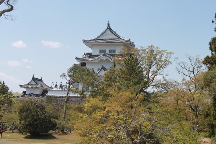 Full-Day Private Ninja Experience in Iga: Museum, Ninja House & Castle Walk photo 3