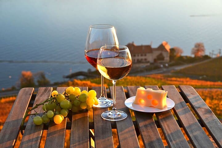 Private Wine Tasting at Lavaux Vineyards — Day Trip from Geneva photo 5
