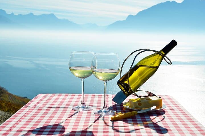 Private Wine Tasting at Lavaux Vineyards — Day Trip from Geneva photo 6