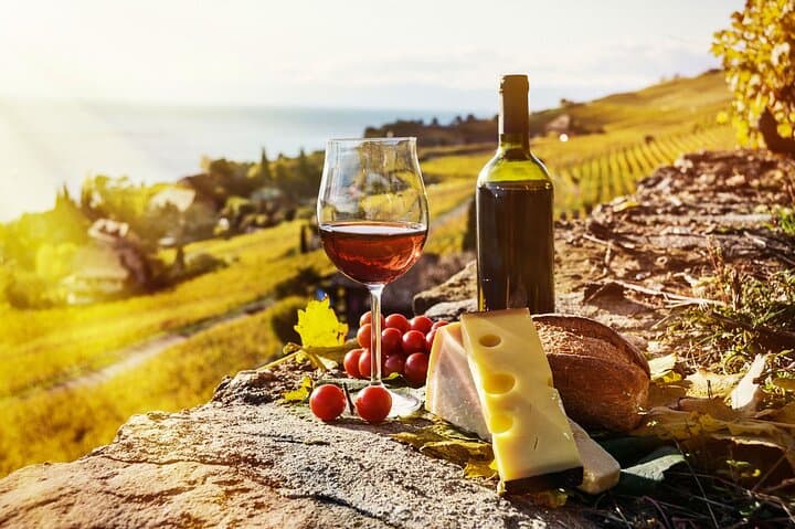 Private Wine Tasting at Lavaux Vineyards — Day Trip from Geneva
