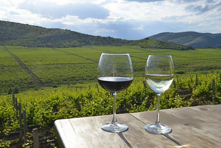 Discover Macedonia's Wine Country: Full-Day Stobi & Winery Tour from Skopje
