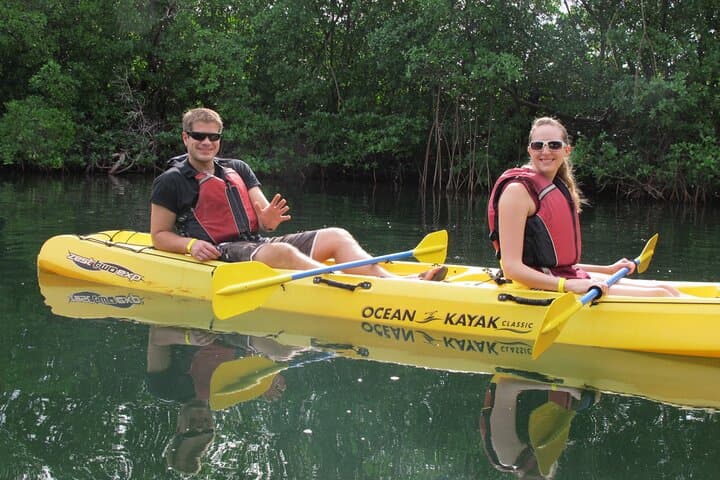 Mangrove Lagoon Kayak Rental — Self-Guided St. Thomas Wildlife & Marine Reserve photo 3