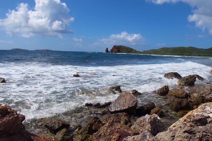 Mangrove Lagoon Kayak Rental — Self-Guided St. Thomas Wildlife & Marine Reserve photo 6