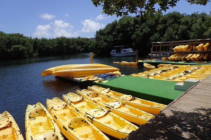 Mangrove Lagoon Kayak Rental — Self-Guided St. Thomas Wildlife & Marine Reserve photo 2