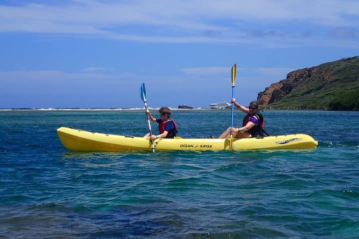 Mangrove Lagoon Kayak Rental — Self-Guided St. Thomas Wildlife & Marine Reserve photo 4