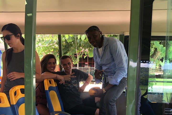 Day Trip to YS Falls from Montego Bay: River Pools, Tractor Ride & Zipline photo 2
