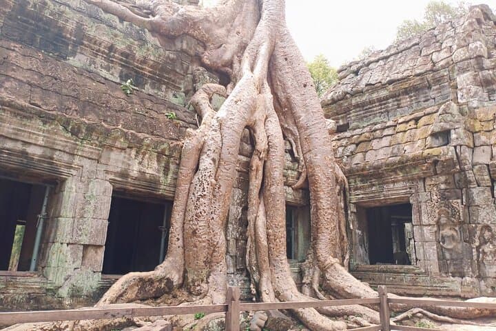 Private Angkor Wat Day Tour: Angkor Thom, Ta Prohm & Temple Highlights photo 5
