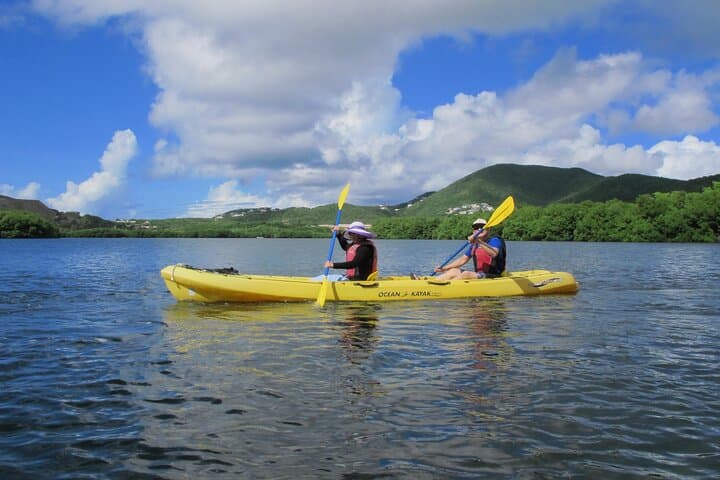 Self-Guided Kayak in the Mangrove Lagoon, St. Thomas — Paddle to Bird Island and the Blow-Hole photo 6